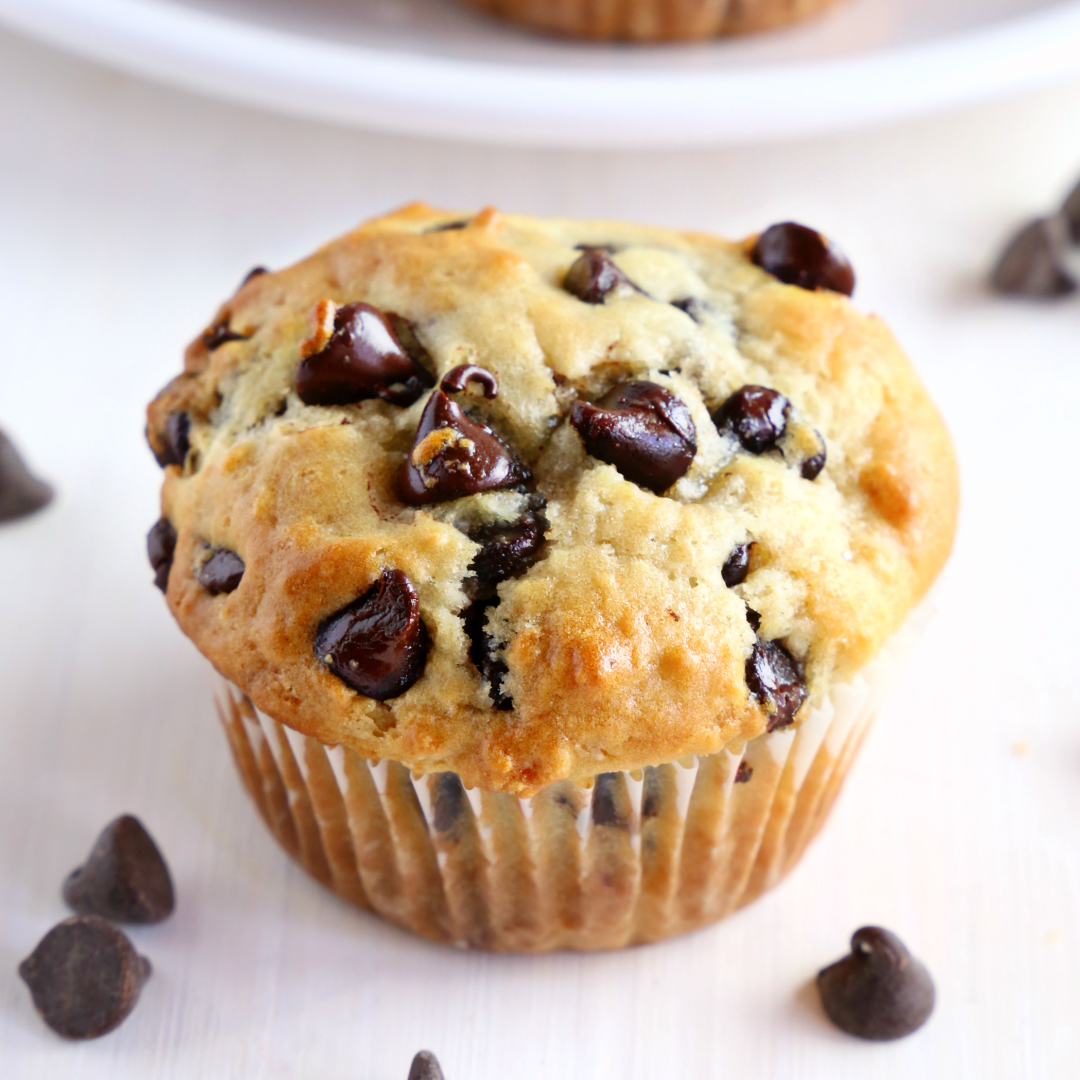 Low Carb Bakery Style Chocolate Chip Muffins ( Gluten Free too!) - Recipes